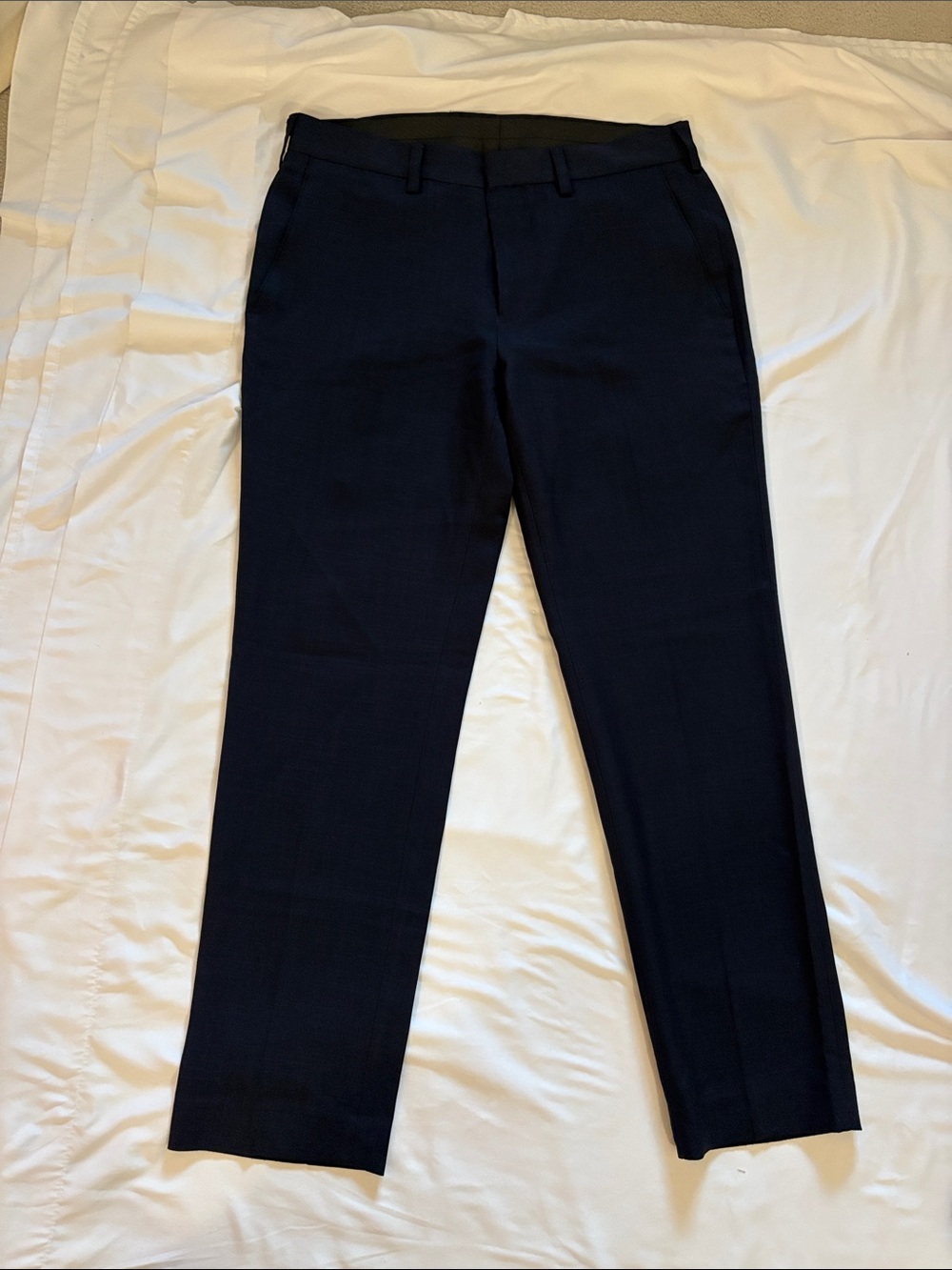 Louis Raphael Navy Men Pants (33/30)